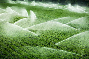 Agricultural irrigation