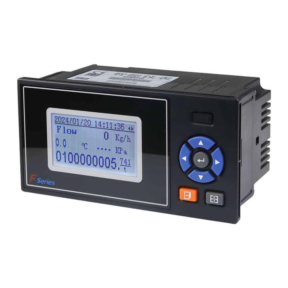 F3000X Flow Totalizer